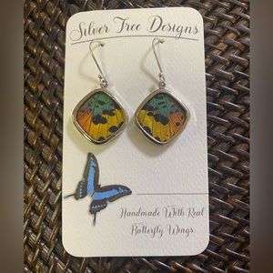 Real Butterfly Wing Earrings